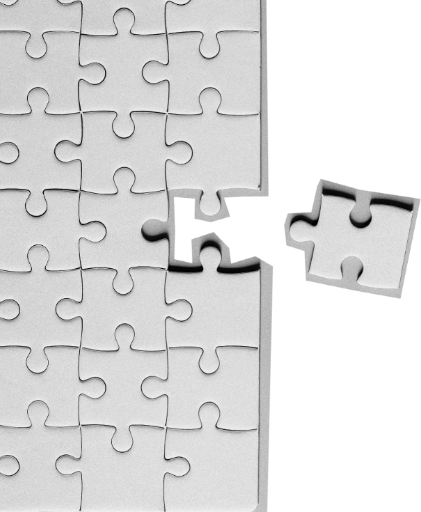 jigsaw puzzle